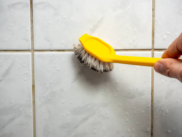Best Mold Damage Repair  in De Pue, IL