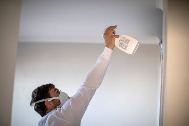 Best Toxic Mold Removal  in De Pue, IL