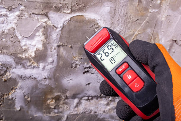 Best Same-Day Mold Removal  in De Pue, IL