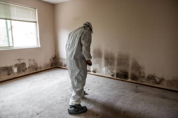 Best Mold Cleaning Services  in De Pue, IL